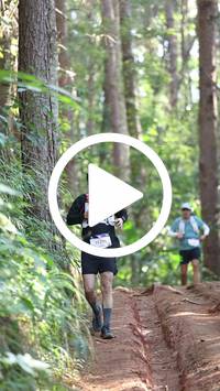 BIB:  <button type="button" onclick="openModal(26569759)" class="btn btn-primary btn-sm float-right" data-toggle="modal" data-target=".modal-high-quality">
                <i class="fa fa-download"></i> Download
                </button>